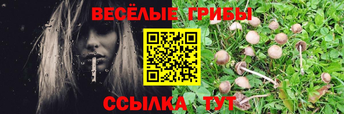 Вязники  Галлюциногенные грибы мицелий  Вход с VPN 