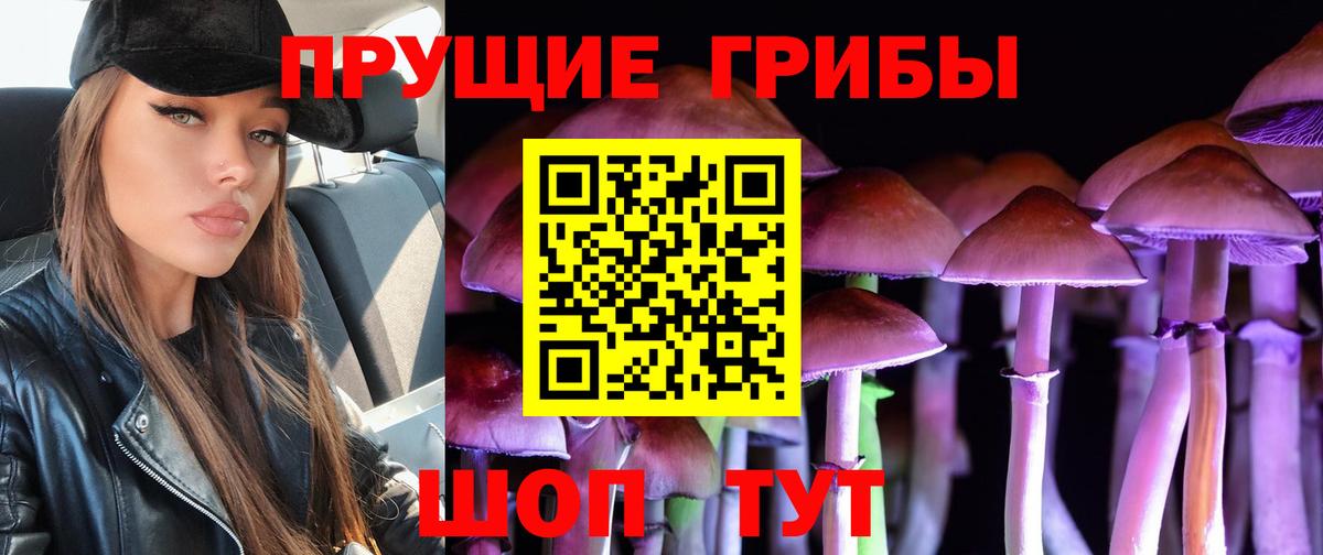 Галлюциногенные грибы Magic Shrooms Вязники